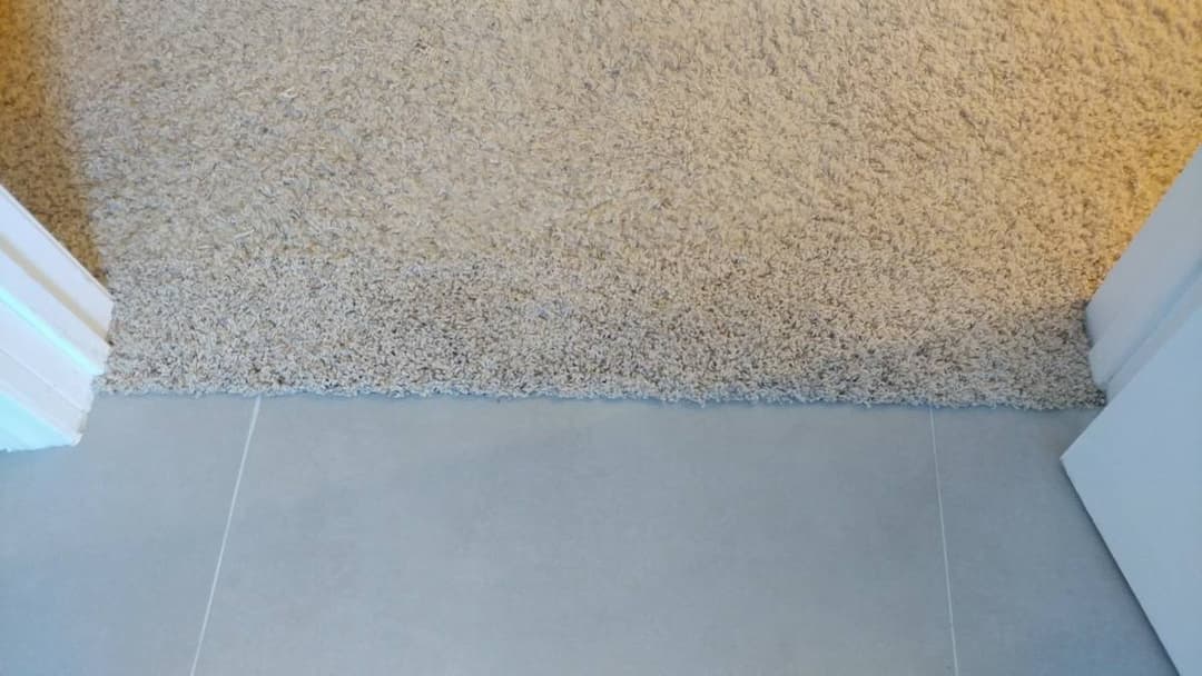 picture of carpet that has been freshly installed