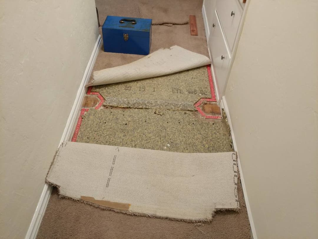 picture of torn carpet that needs to be repaired