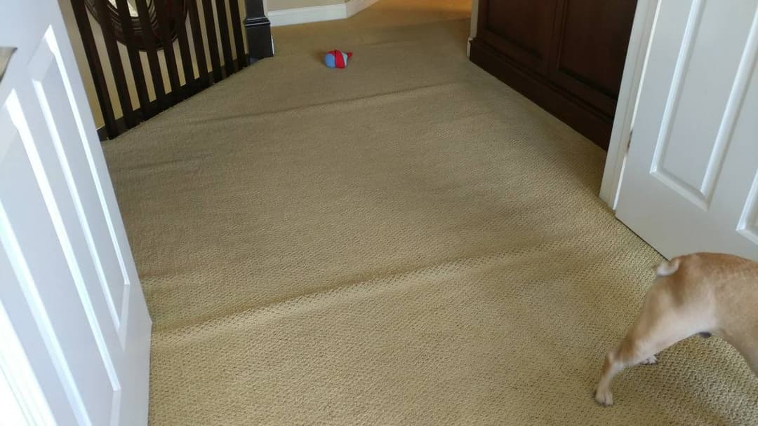 picture of old carpet that has been pushed together creating wrinkles