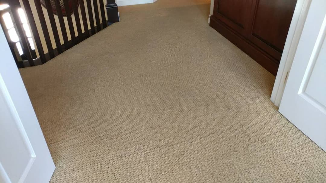 picture of newly installed carpet