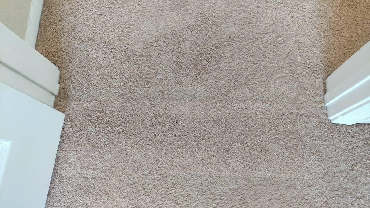 Picture of a brand new installed carpet